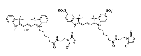 Cyanine Maleimide